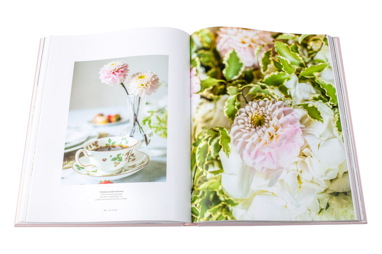 Nal Fiore Limited edition book