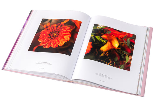 Nal Fiore Open edition book